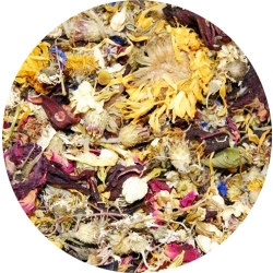 MIXERAMA MIESZANKA KWIATÓW 25g dla gryzoni i królików